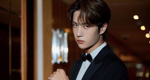 娱乐狗仔爆料王一博视频,娱乐狗仔镜头下的真实生活